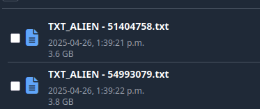 The file download